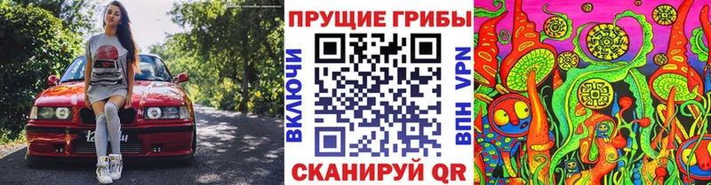 Купить где  Сибай  Псилоцибиновые грибы Magic Shrooms 